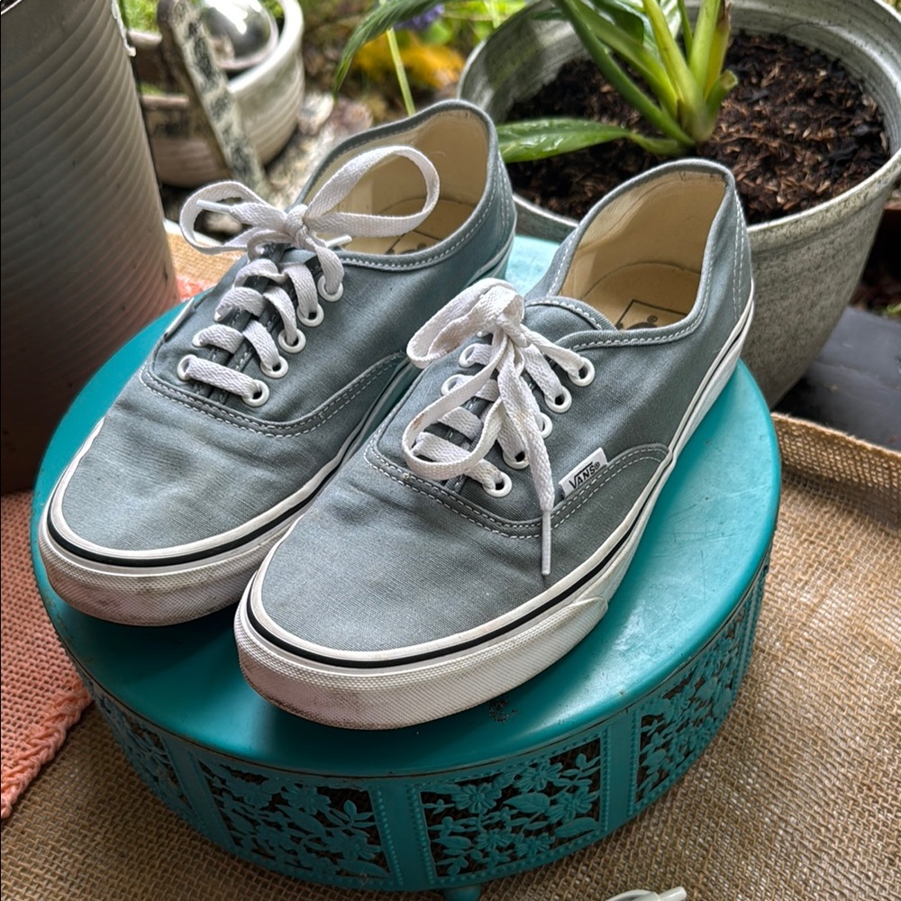 Vans Gray Canvas Skate Sneakers